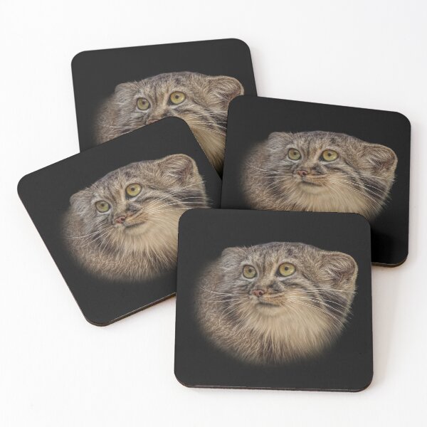 Item preview, Manul cub designed and sold by Guardi71.