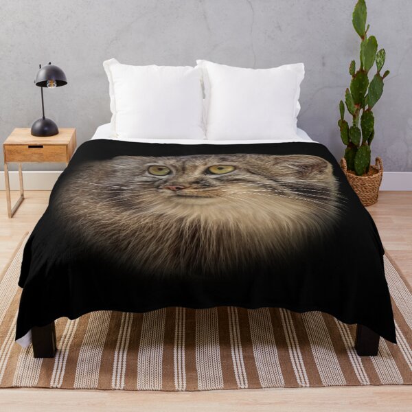 Item preview, Manul cub designed and sold by Guardi71.