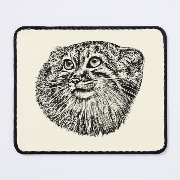 Item preview, Manul cub designed and sold by Guardi71.