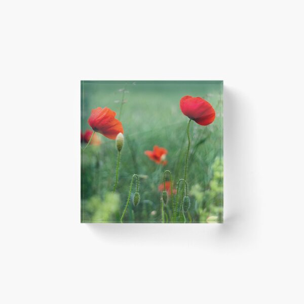 Item preview, Wild Poppy Field Dreamy Cottagecore Botanical Photo designed and sold by Dzulo.