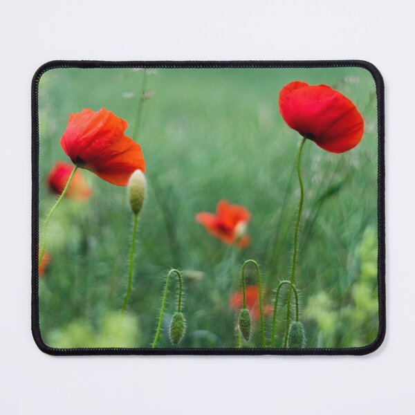 Item preview, Wild Poppy Field Dreamy Cottagecore Botanical Photo designed and sold by Dzulo.