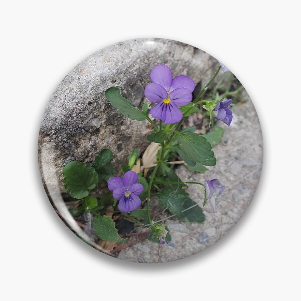 Item preview, Purple Pavementplant Pansies designed and sold by concretebotany.
