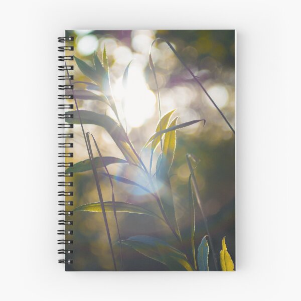 Item preview, Sun and Plant designed and sold by UnluckyAngler.