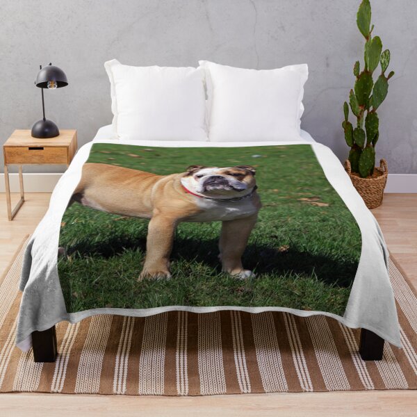 Item preview, Cute Chunky Bulldog designed and sold by VanGaldo.
