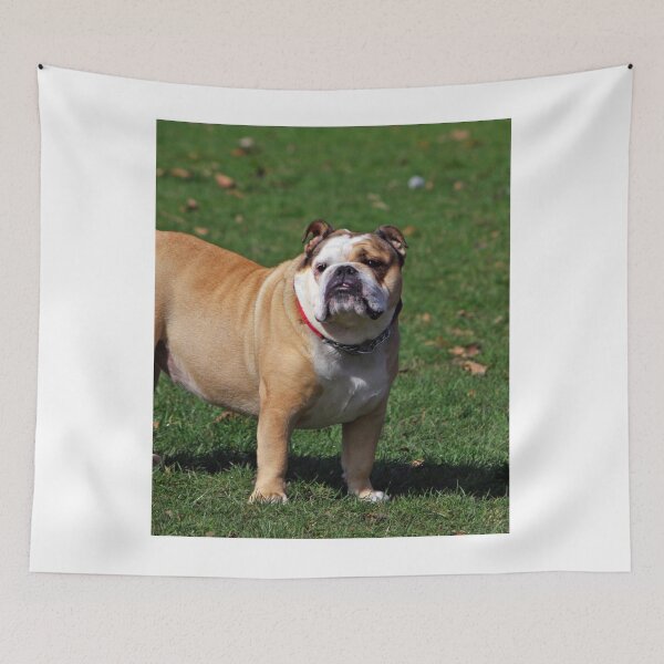 Item preview, Cute Chunky Bulldog designed and sold by VanGaldo.