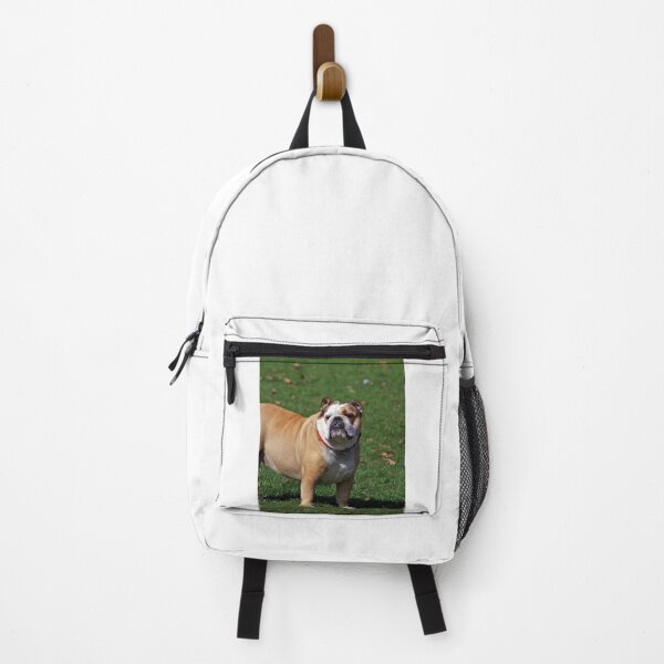 Item preview, Cute Chunky Bulldog designed and sold by VanGaldo.