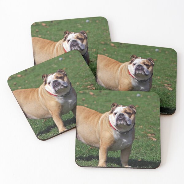 Item preview, Cute Chunky Bulldog designed and sold by VanGaldo.