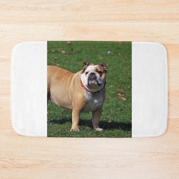 Item preview, Cute Chunky Bulldog designed and sold by VanGaldo.