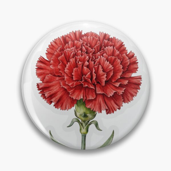 Item preview, Single Red Carnation Illustration | Romantic Floral Sticker designed and sold by RareBotanical .