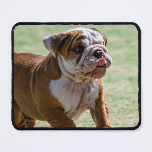 Item preview, Playful Bulldog Puppy designed and sold by VanGaldo.