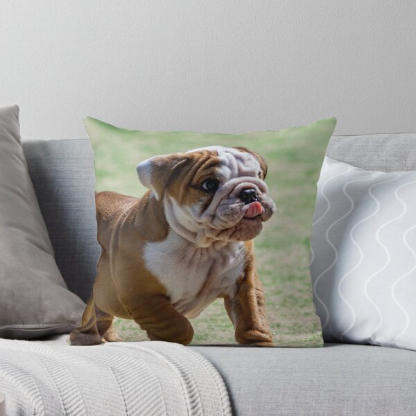 Item preview, Playful Bulldog Puppy designed and sold by VanGaldo.