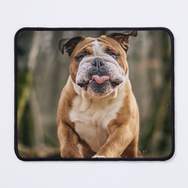 Item preview, Grump Face Bulldog Running designed and sold by VanGaldo.