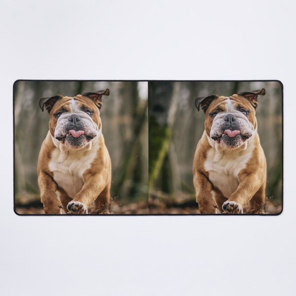 Item preview, Grump Face Bulldog Running designed and sold by VanGaldo.