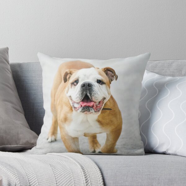 Item preview, Wrinkly Face Bulldog designed and sold by VanGaldo.