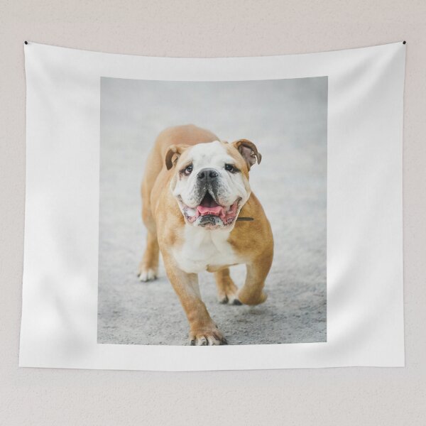 Item preview, Wrinkly Face Bulldog designed and sold by VanGaldo.