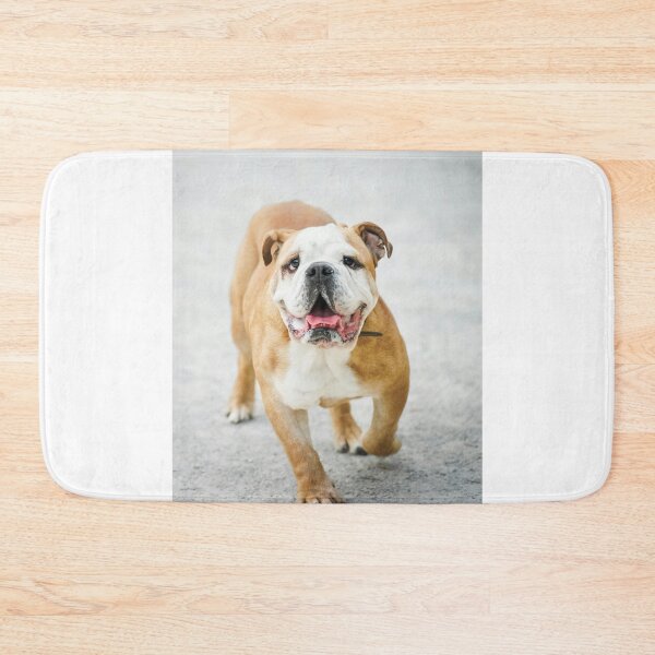 Item preview, Wrinkly Face Bulldog designed and sold by VanGaldo.