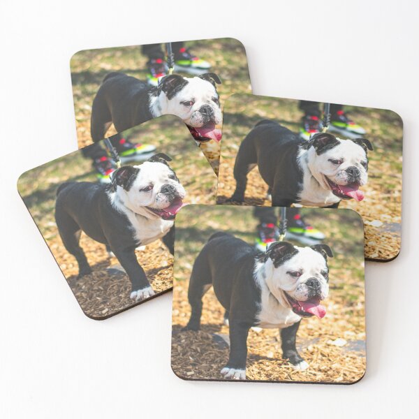 Item preview, Charming Looking Bulldog designed and sold by VanGaldo.