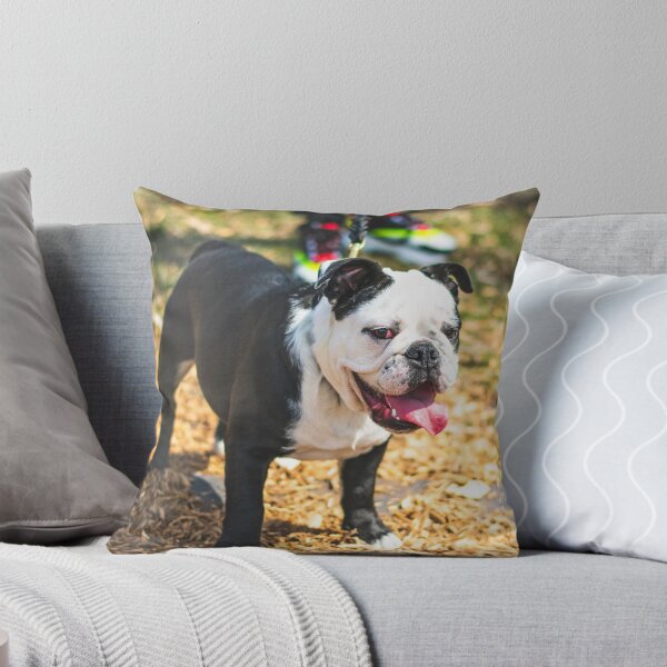 Item preview, Charming Looking Bulldog designed and sold by VanGaldo.