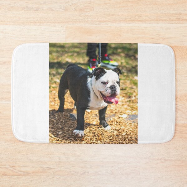 Item preview, Charming Looking Bulldog designed and sold by VanGaldo.