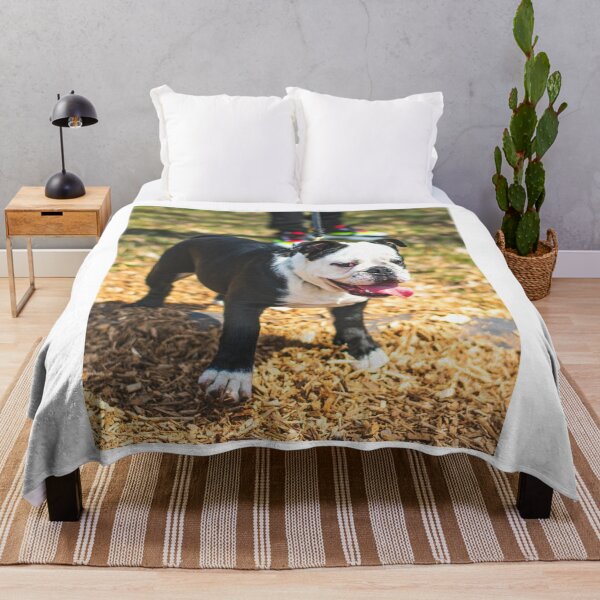 Item preview, Charming Looking Bulldog designed and sold by VanGaldo.