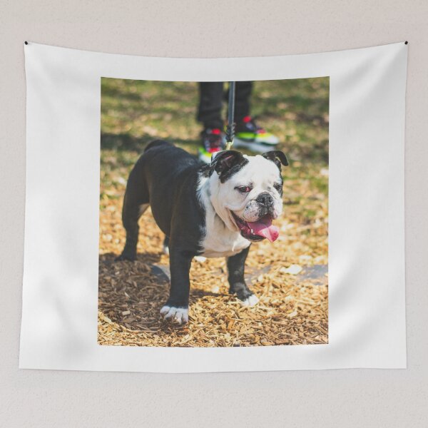 Item preview, Charming Looking Bulldog designed and sold by VanGaldo.