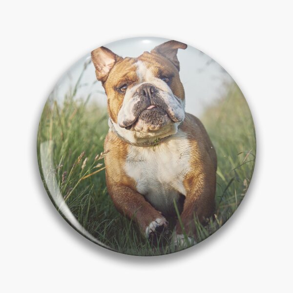 Item preview, Enjoys Running Bulldog designed and sold by VanGaldo.