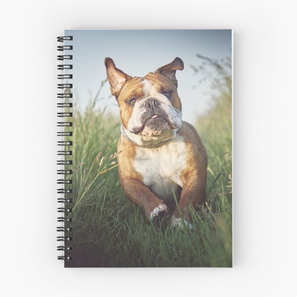Item preview, Enjoys Running Bulldog designed and sold by VanGaldo.