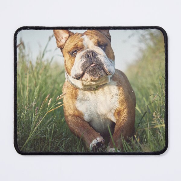 Item preview, Enjoys Running Bulldog designed and sold by VanGaldo.