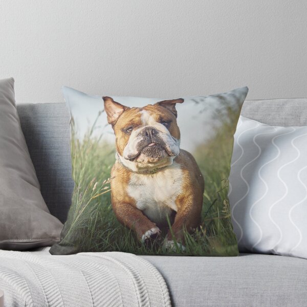 Item preview, Enjoys Running Bulldog designed and sold by VanGaldo.
