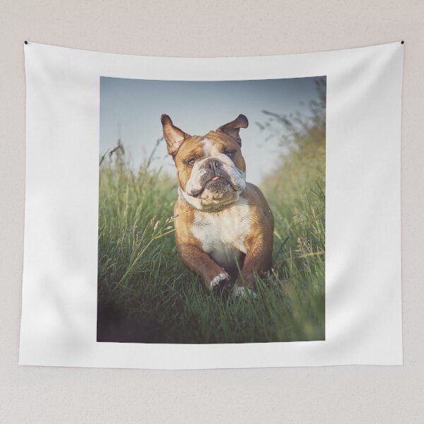 Item preview, Enjoys Running Bulldog designed and sold by VanGaldo.