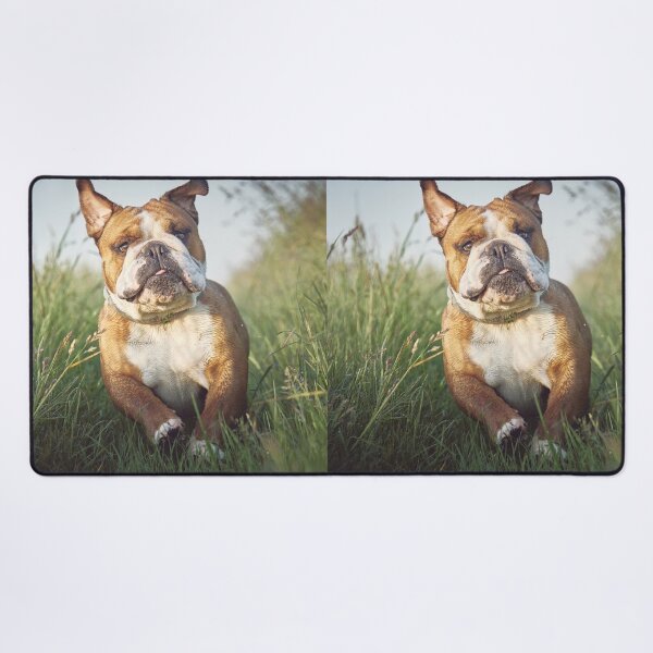 Item preview, Enjoys Running Bulldog designed and sold by VanGaldo.