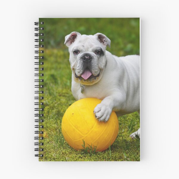 Item preview, Bulldog with Favorite Yellow Ball designed and sold by VanGaldo.
