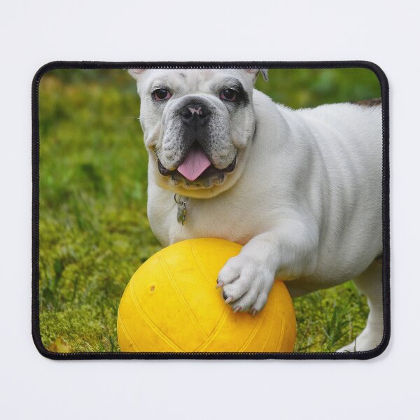 Item preview, Bulldog with Favorite Yellow Ball designed and sold by VanGaldo.