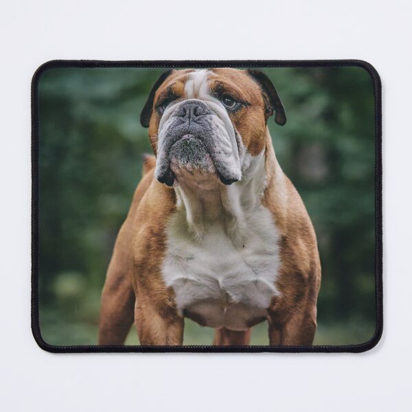 Item preview, Very Serious Bulldog designed and sold by VanGaldo.