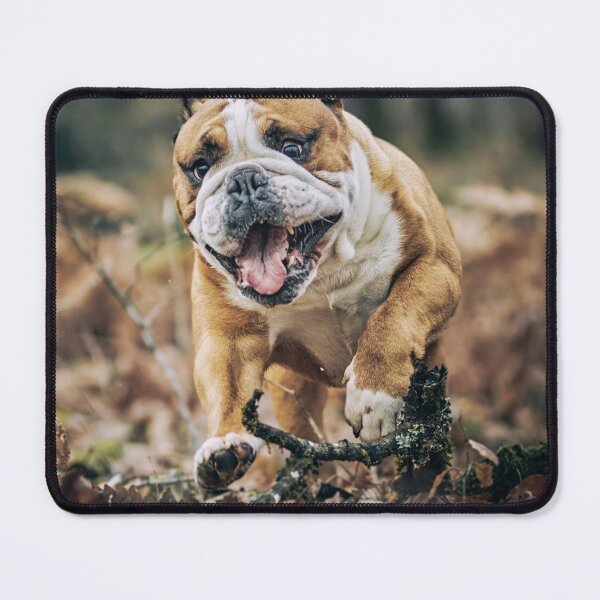 Item preview, Running English Bulldog in the Forest designed and sold by VanGaldo.