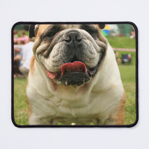 Item preview, Close-Up Portrait of a Panting Bulldog designed and sold by VanGaldo.