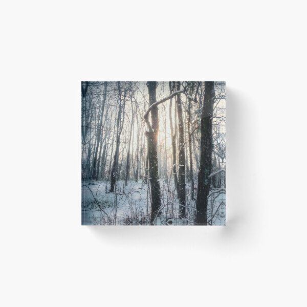Item preview, Winter Forest Fine Art Photography Canvas Print | Snowy Woodland Trees Wall Art | Atmospheric Cold Sunlight Nature Poster | Vertical Landscape Photo Decor designed and sold by SergioMiklos.