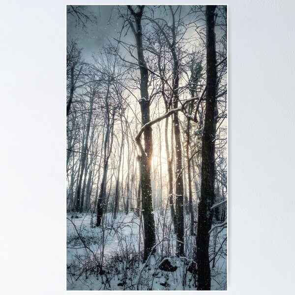 Item preview, Winter Forest Fine Art Photography Canvas Print | Snowy Woodland Trees Wall Art | Atmospheric Cold Sunlight Nature Poster | Vertical Landscape Photo Decor designed and sold by SergioMiklos.