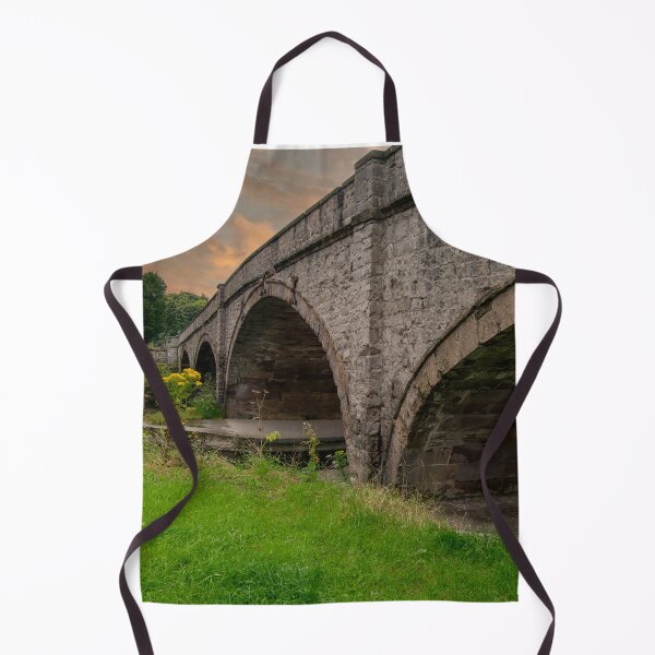 Item preview, Historic Elwy Bridge at St Asaph, Wales designed and sold by ArtworkNorth.