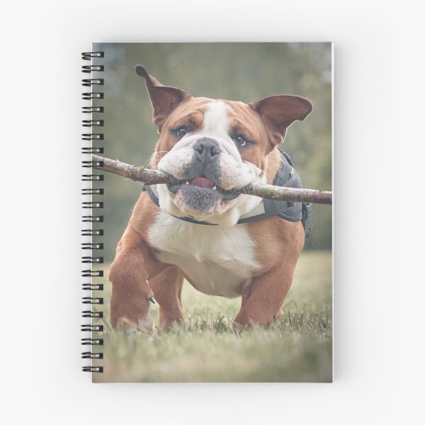 Item preview, The Branch Manager Bulldog designed and sold by VanGaldo.