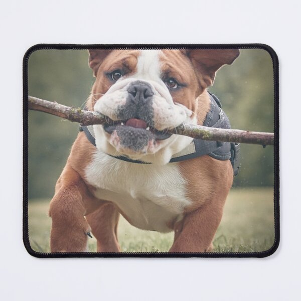 Item preview, The Branch Manager Bulldog designed and sold by VanGaldo.