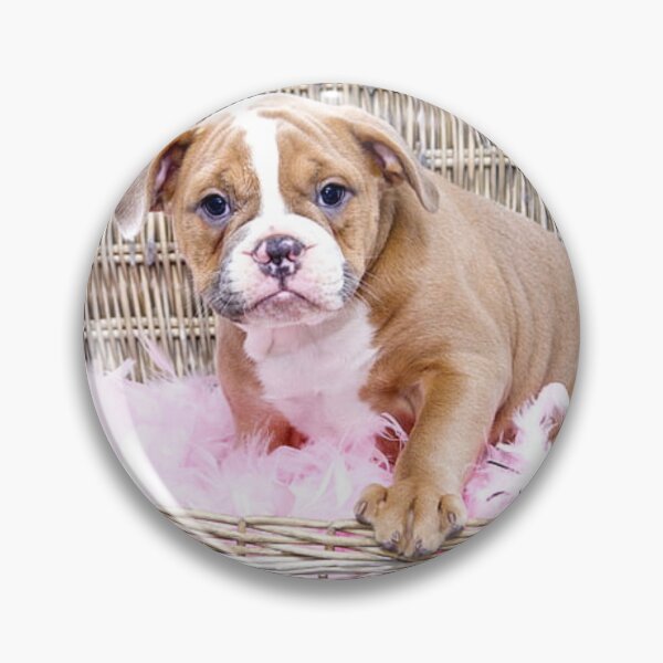 Item preview, English Bulldog Puppy in a Basket designed and sold by VanGaldo.