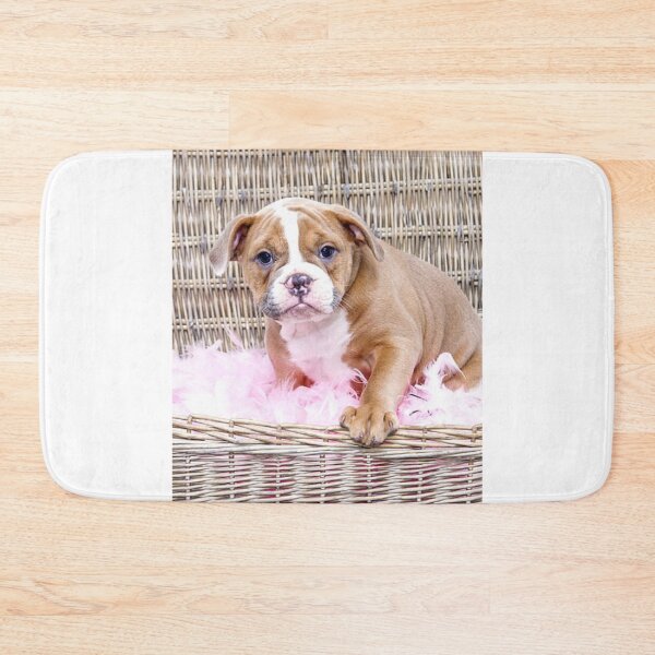 Item preview, English Bulldog Puppy in a Basket designed and sold by VanGaldo.