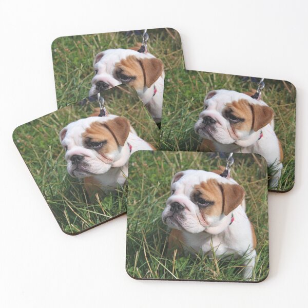 Item preview, Quiet Moment Outdoors English Bulldog Puppy designed and sold by VanGaldo.