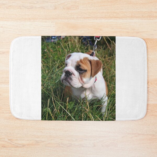 Item preview, Quiet Moment Outdoors English Bulldog Puppy designed and sold by VanGaldo.