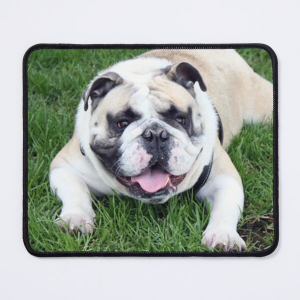 Item preview, English Bulldog Lying in the Green Grass designed and sold by VanGaldo.