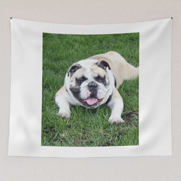 Item preview, English Bulldog Lying in the Green Grass designed and sold by VanGaldo.
