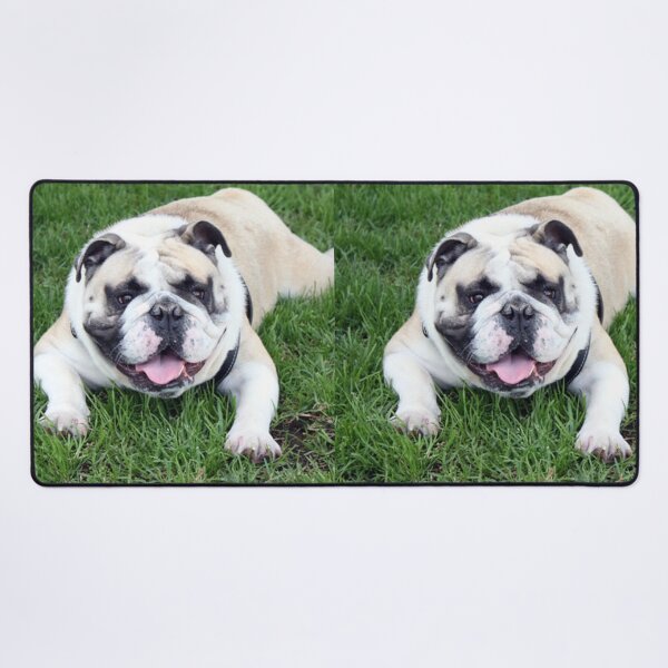 Item preview, English Bulldog Lying in the Green Grass designed and sold by VanGaldo.