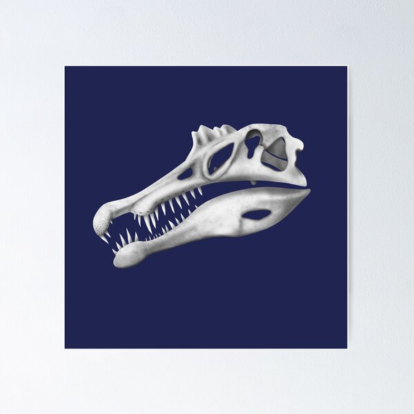 Item preview, Spinosaurus Skull designed and sold by JAMiron Paleoart.