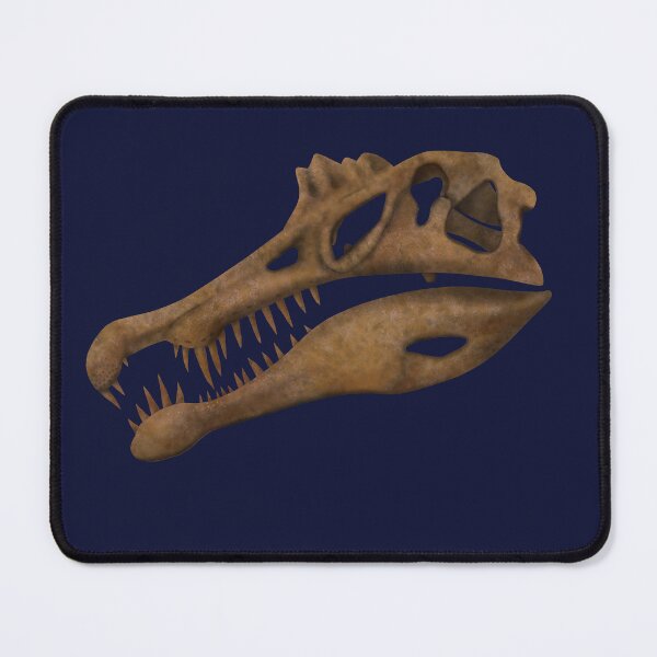 Item preview, Spinosaurus Skull Fossil designed and sold by JAMiron Paleoart.